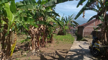 Tanah Pekarangan Dekat UNTIDAR Magelang