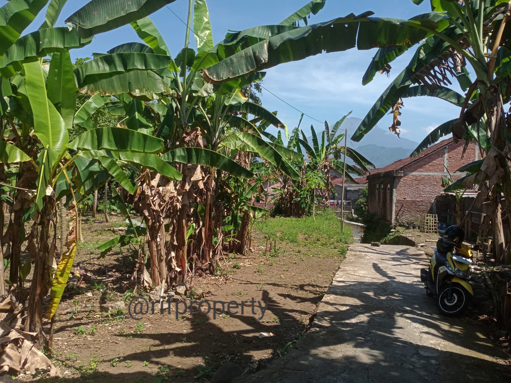 Tanah Pekarangan Dekat UNTIDAR Magelang