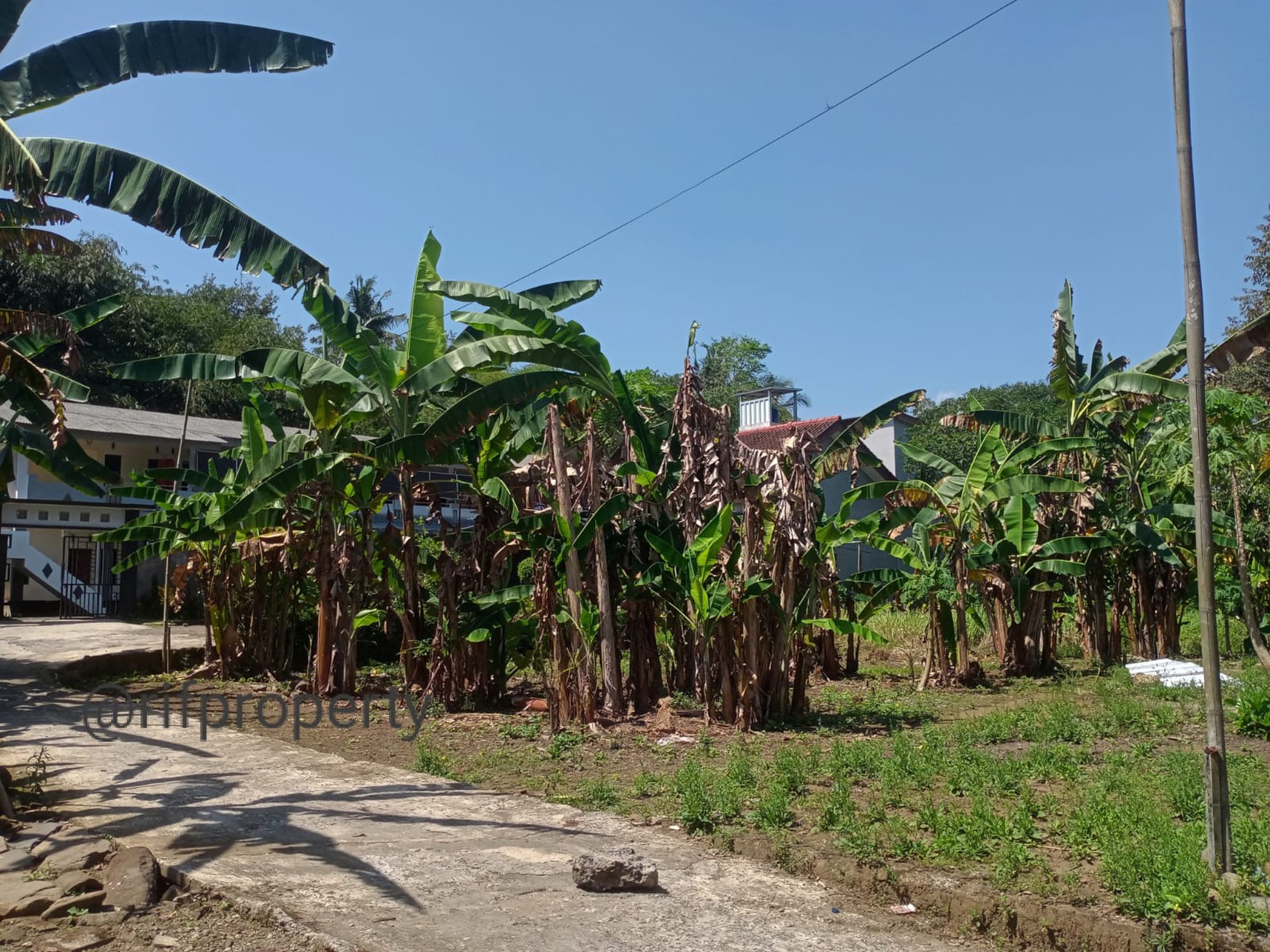 Tanah Pekarangan Dekat UNTIDAR Magelang
