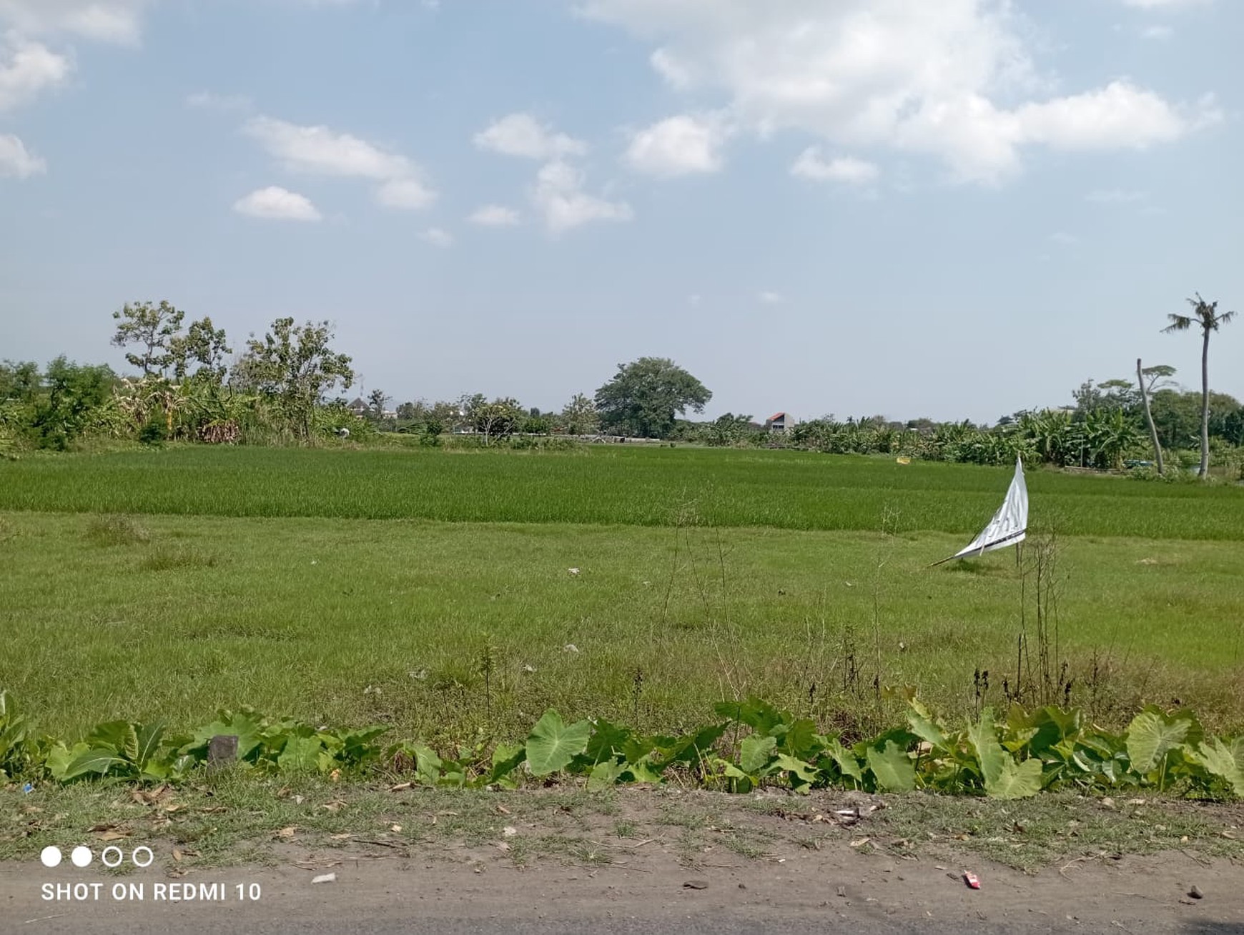 Disewakan Tanah 1105 Meter Persegi