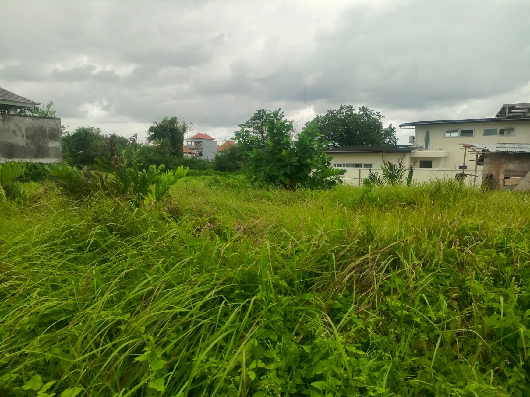 Land Leasehold 500 Meter To The Beach Seseh Bali