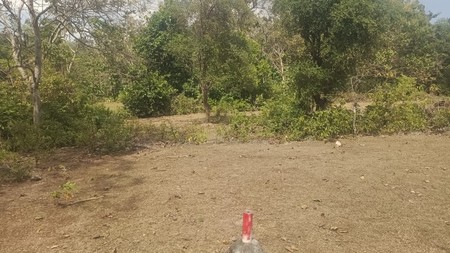 Amazing Land In Great Location Balangan Bali 