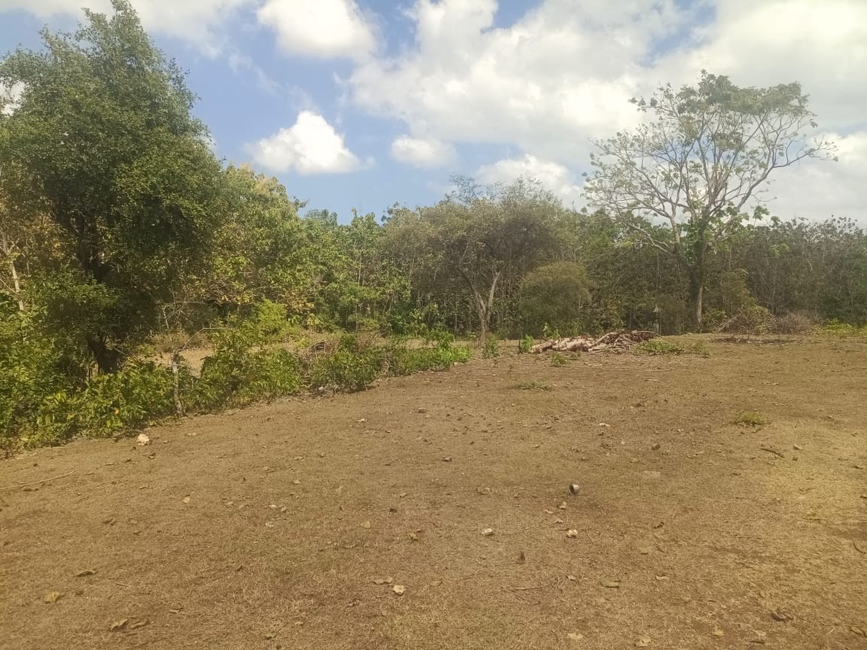 Amazing Land In Great Location Balangan Bali