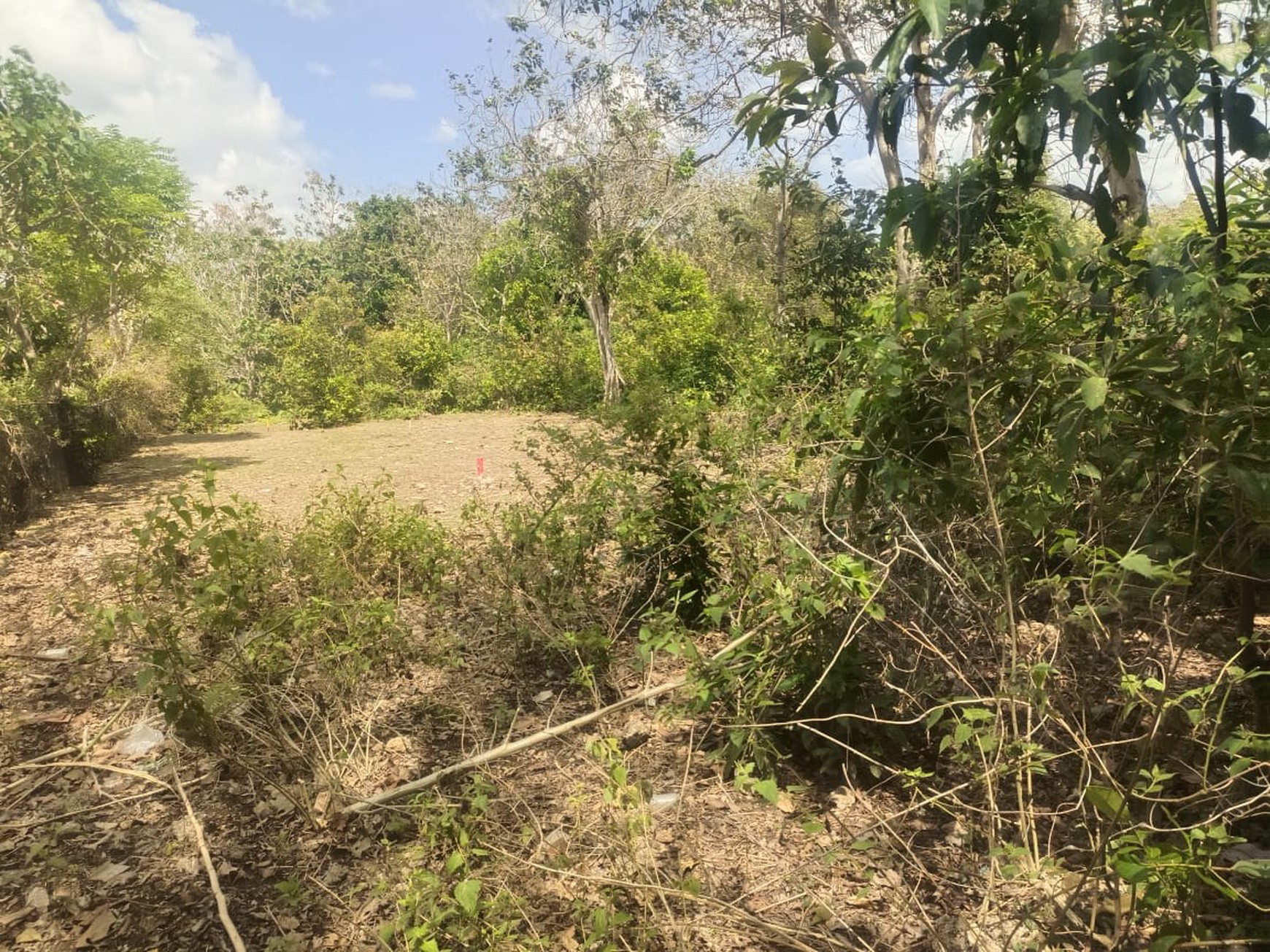 Amazing Land In Great Location Balangan Bali