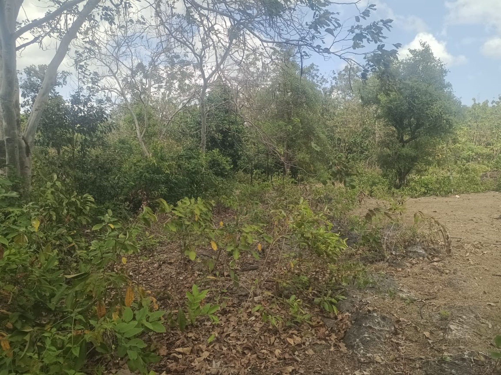 Amazing Land In Great Location Balangan Bali