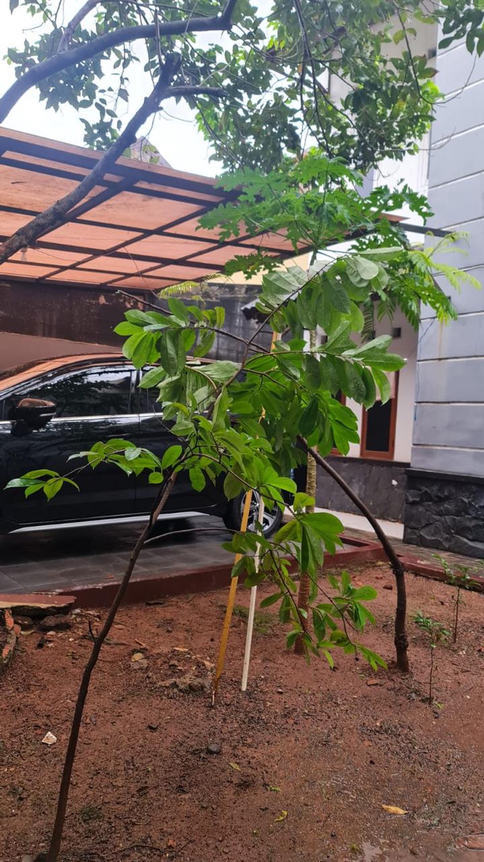 Rumah 2 Lantai Siap Huni dengan KT 3 dan KM 2+1 SHMi @Ciputat