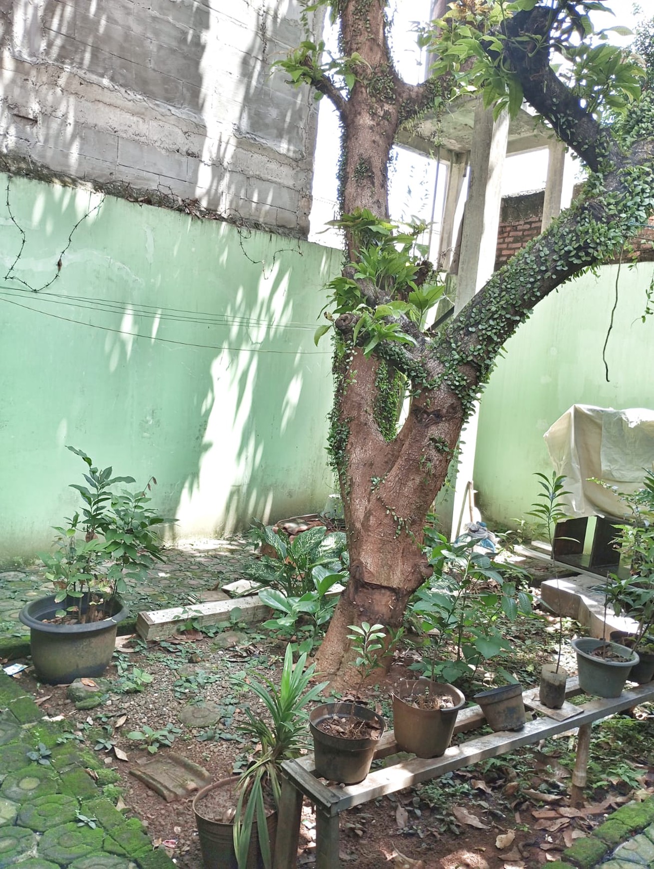 Rumah Asri Pinggir Jalan Dekat ke Stasiun Pondok Ranji