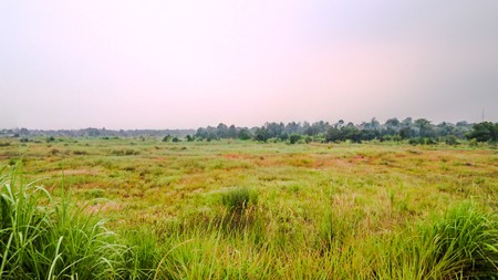 Tanah Luas Dekat Jalan Raya Bogor Cibinong, Karadenan & Cileungsi