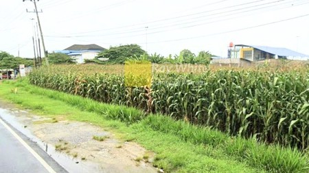 Dijual Tanah di Jalur Lintas