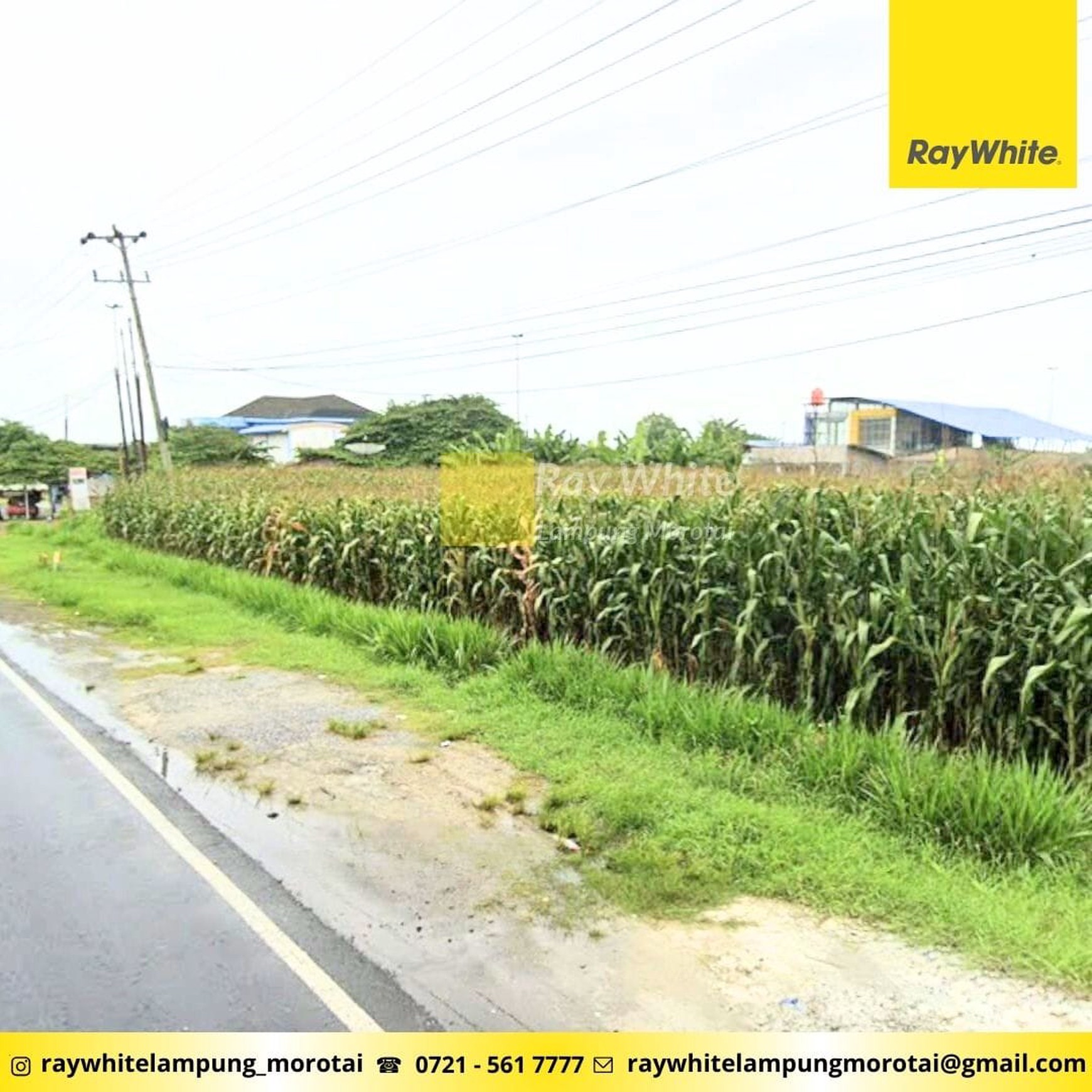 Dijual Tanah di Jalur Lintas