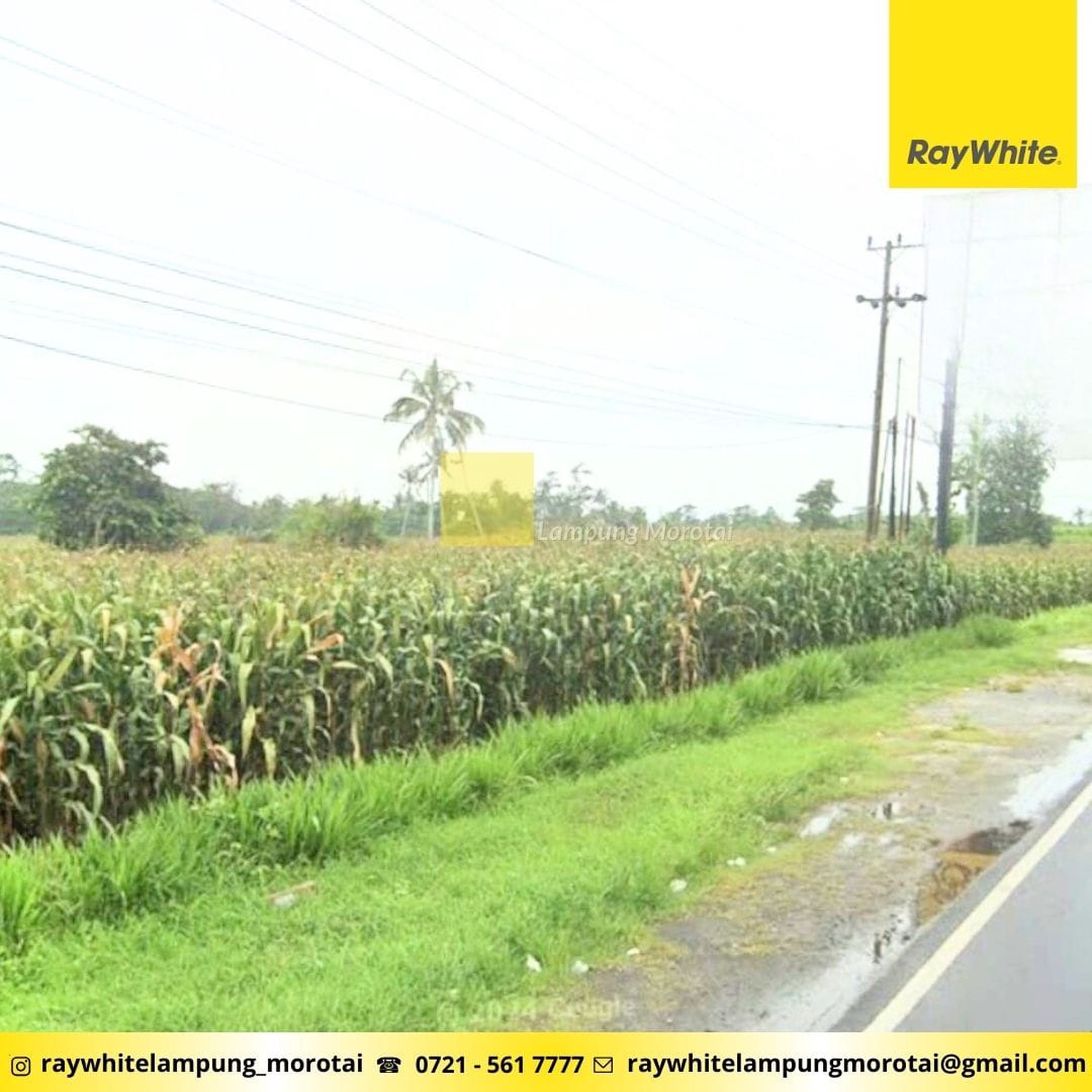 Dijual Tanah di Jalur Lintas