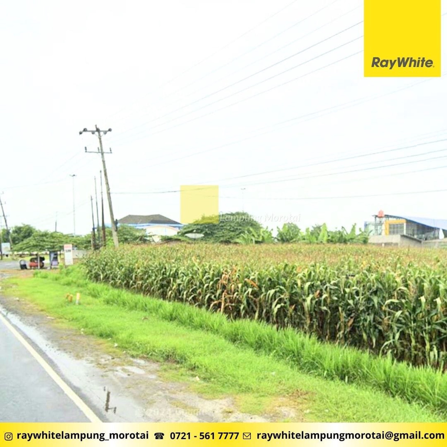 Dijual Tanah di Jalur Lintas