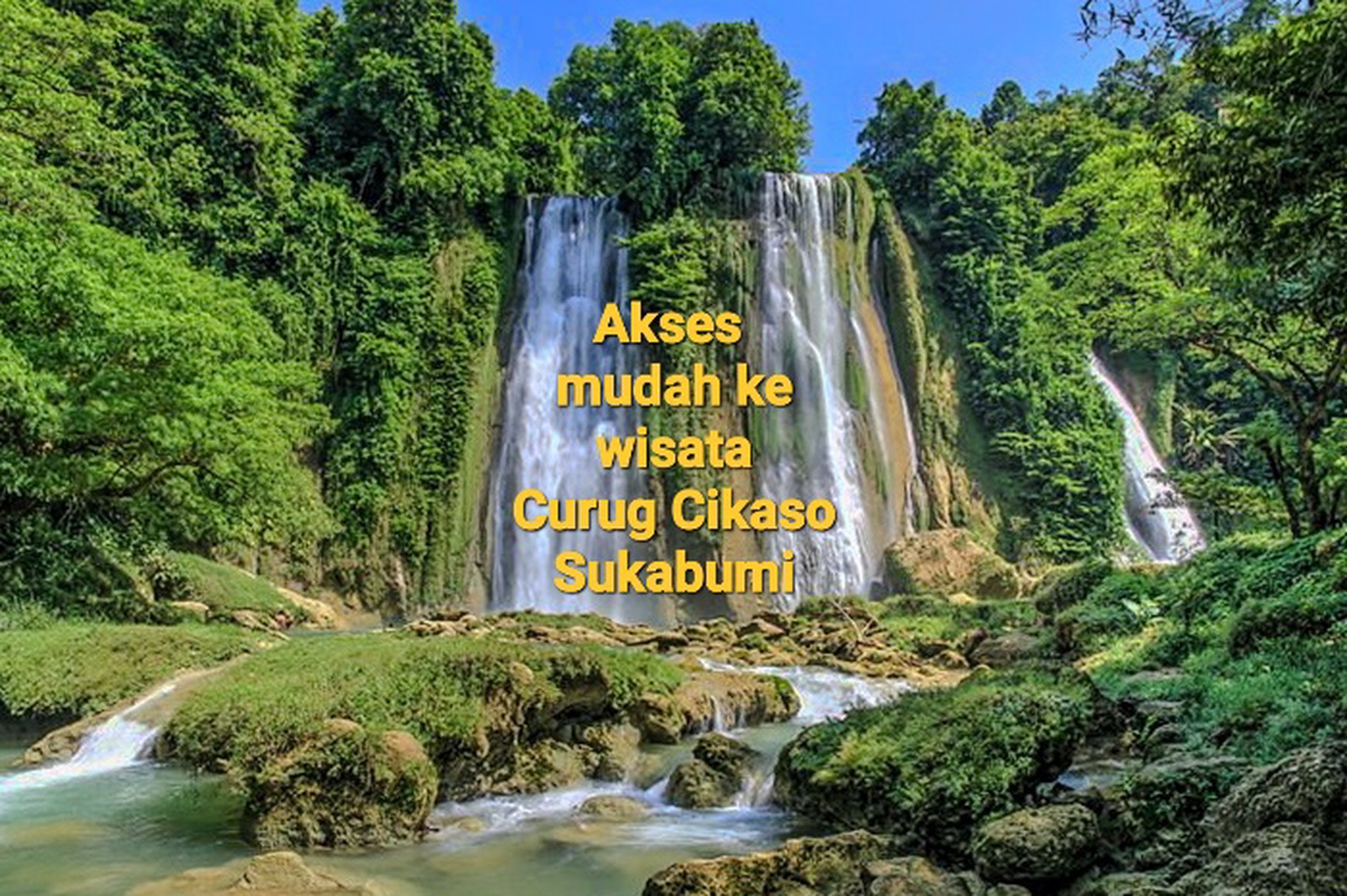 Kebun Cengkeh, Durian, Kelengkeng di Ciemas Sukabumi, Dekat Bogor