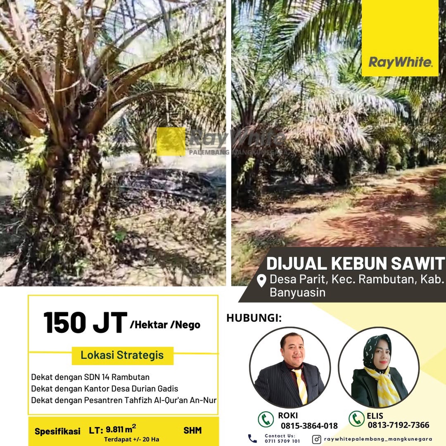Dijual Cepat Kebun Sawit di Desa Parit Kab Banyuasin