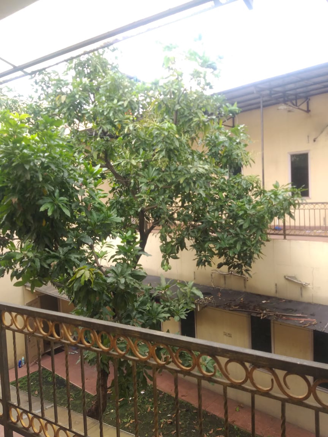 Ampera ragunan pertanian raya luas 1098  kantor dekat busway