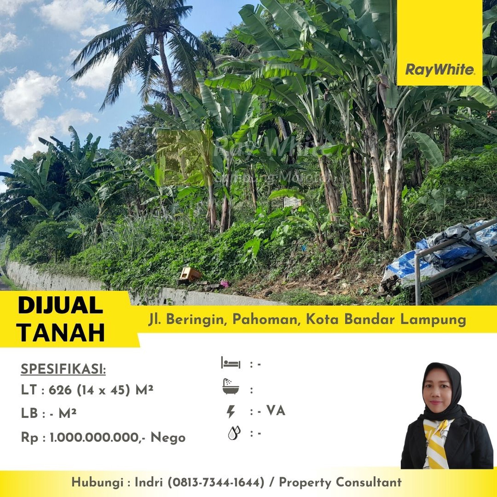 rumah dan tanah murah  pahoman bandar lampung