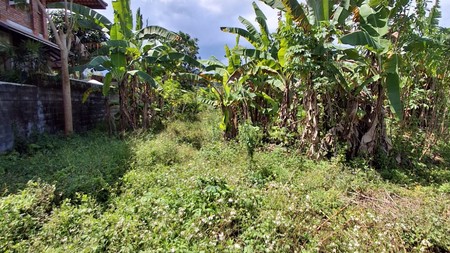 Dijual Tanah Lokasi Strategis di Cisadung, Bandung