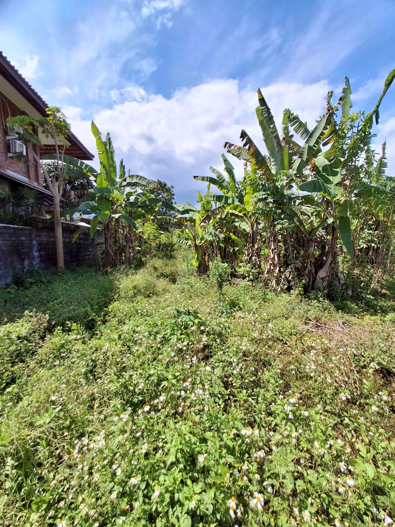 Dijual Tanah Lokasi Strategis di Cisadung, Bandung