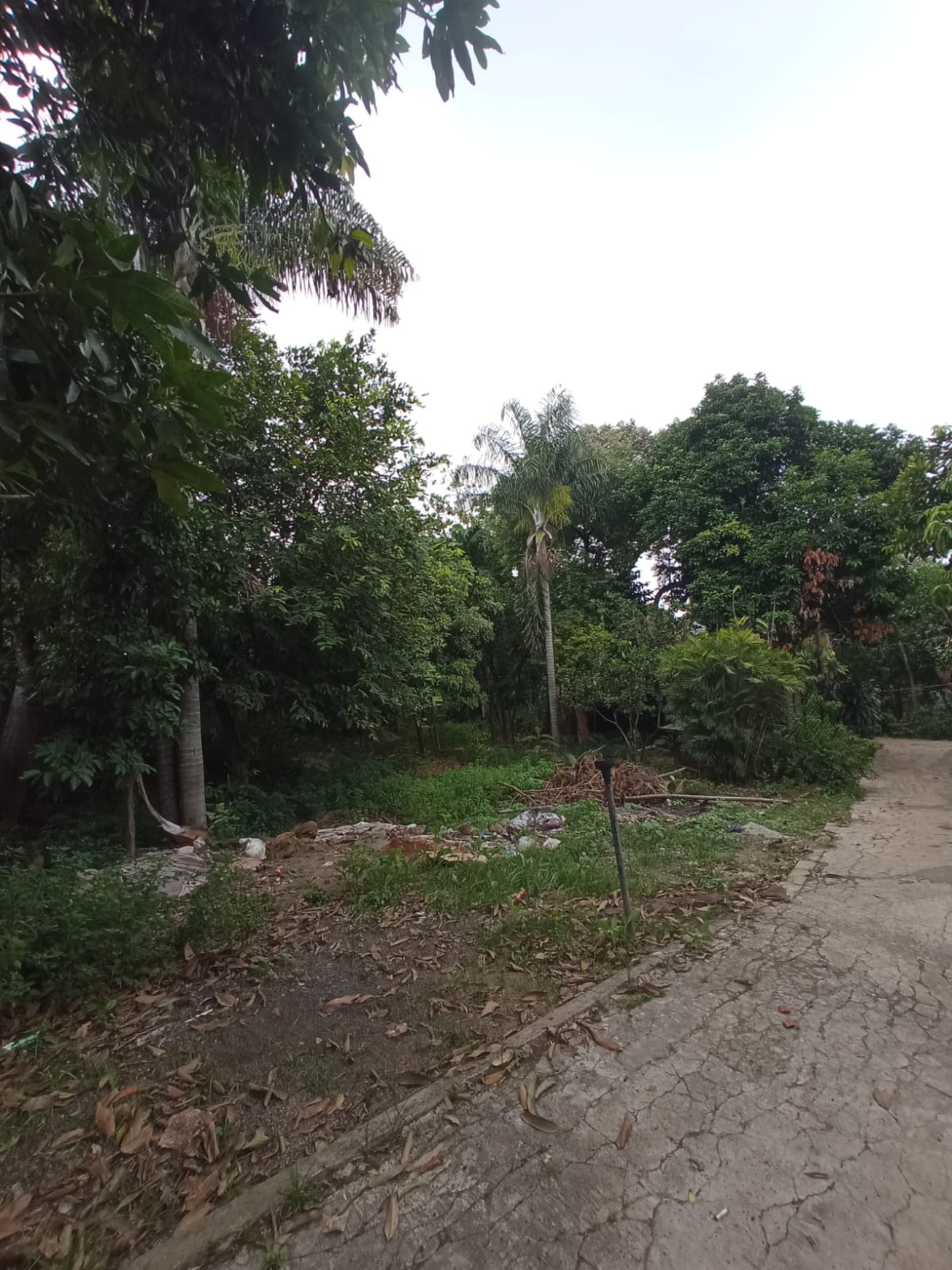 Jual Hitung Tanah 6,9 juta/meter di Cipadu, Pondok Aren