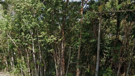 Tanah 1610 Meter Persegi Di area Perumahan Bangunjiwo, Kasihan Bantul