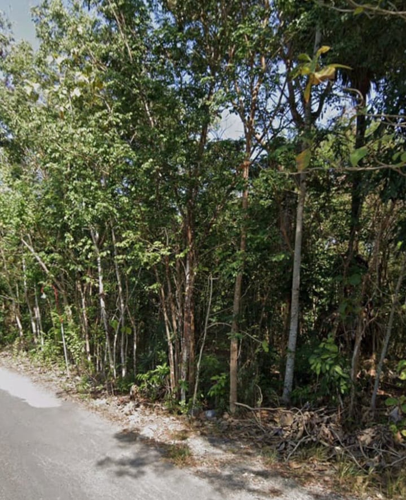 Tanah 1610 Meter Persegi Di area Perumahan Bangunjiwo, Kasihan Bantul