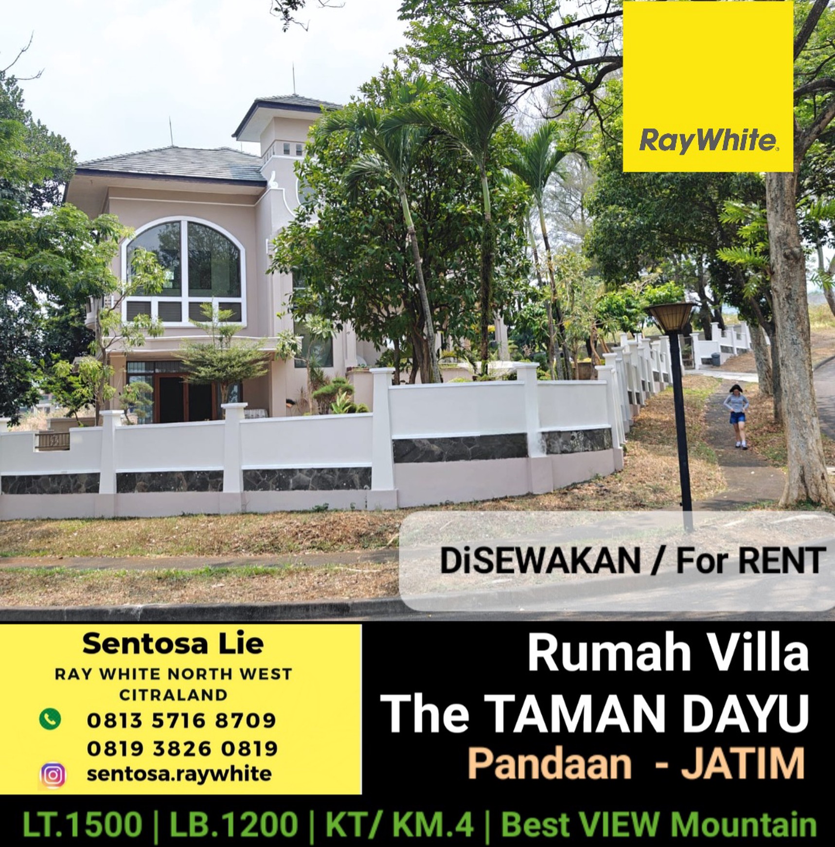 Disewakan 1500 M2 Rumah Villa The Taman Dayu - Full Furnished - Best View Gunung - Garasi Carport Luas - Lokasi Bagus Cluster Tertinggi 