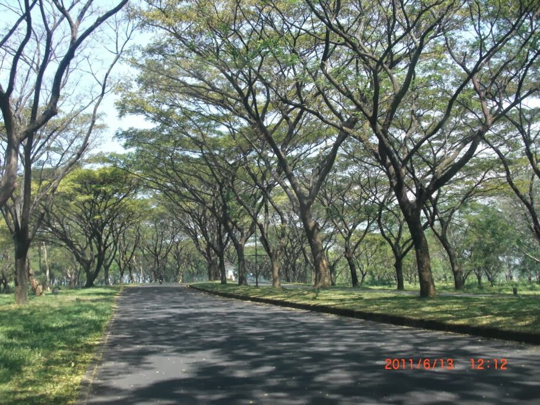 Disewakan 1500 M2 Rumah Villa The Taman Dayu - Full Furnished - Best View Gunung - Garasi Carport Luas - Lokasi Bagus Cluster Tertinggi 