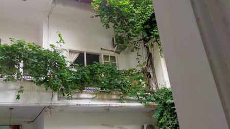 Rumah di jl Pasuruan Menteng Prime Location untuk Usaha