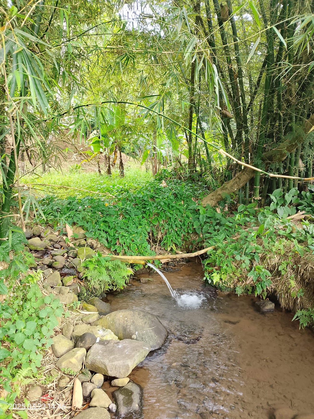 Lahan Asri Dijual dengan Sumber Mata Air - Cocok untuk Villa, Glamping & Slow Living 