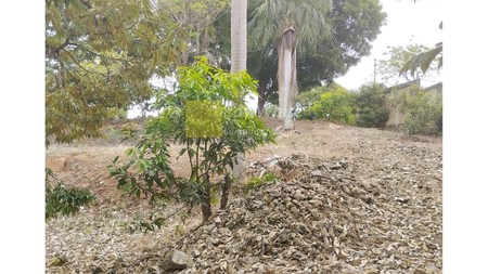 Di jual Tanah pinggir jalan utama mangku jalan view laut 