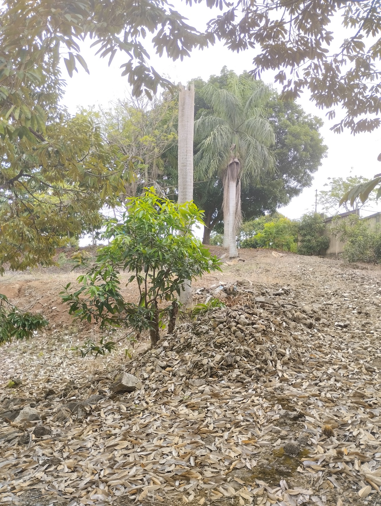 Di jual Tanah pinggir jalan utama mangku jalan view laut