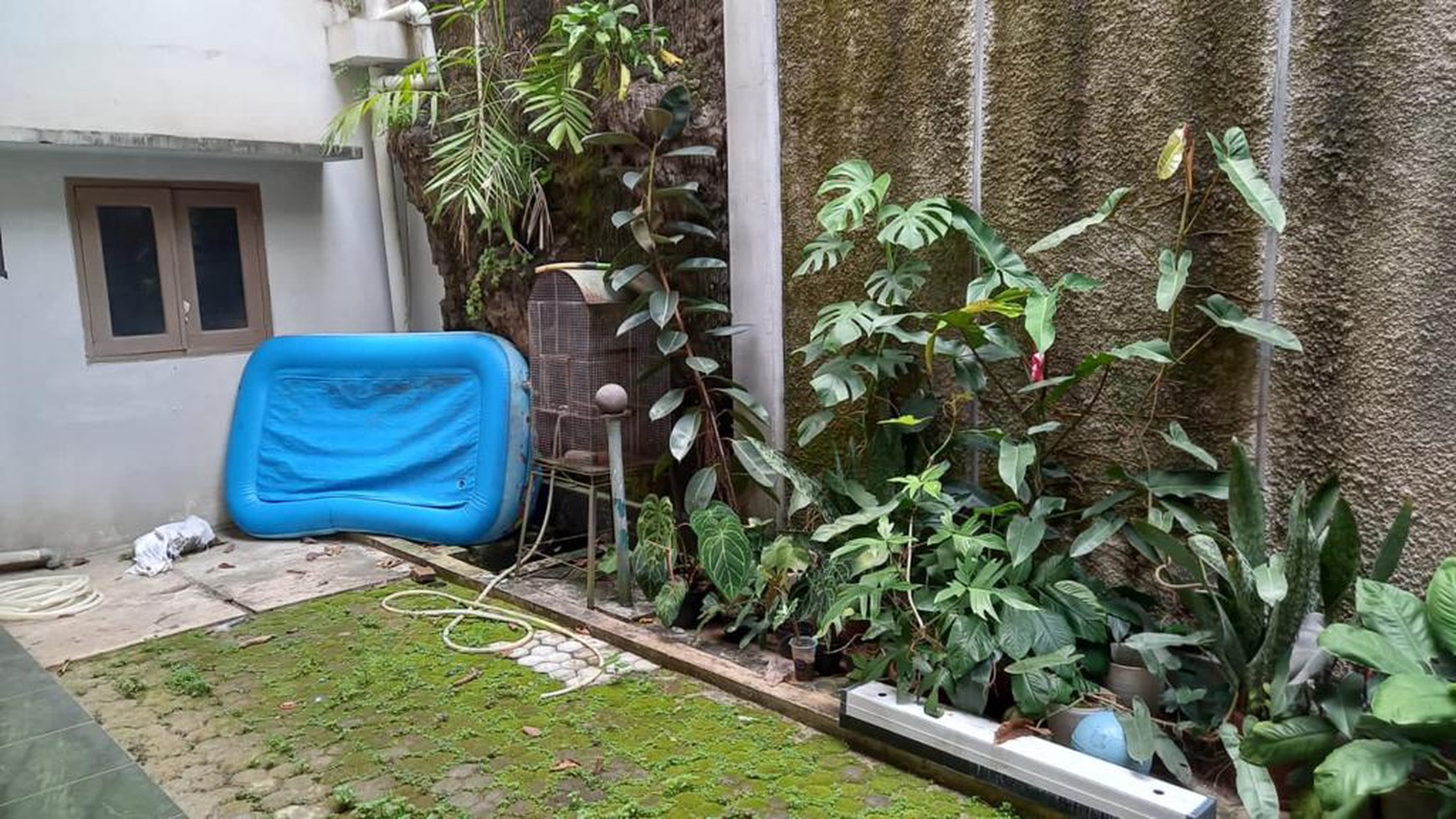 Rumah Asri dan Nyaman di Cipete Jakarta Selatan