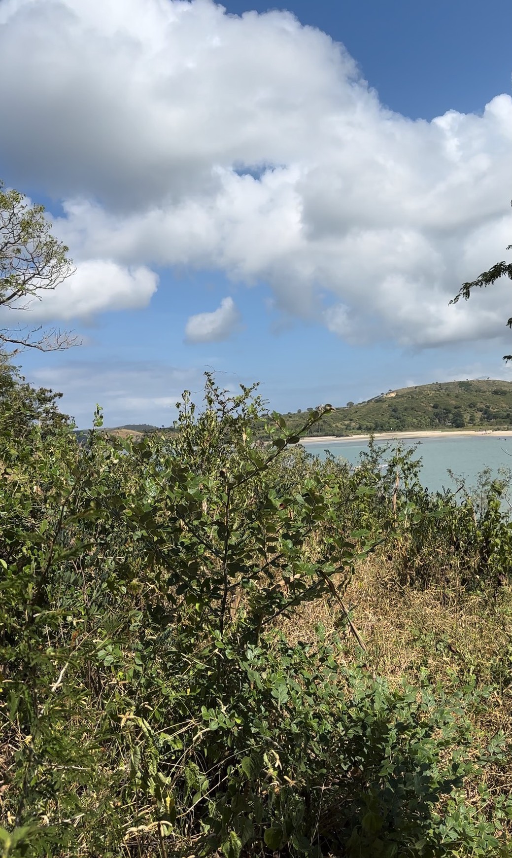 Dijual Tanah Pinggir Pantai Dekat Kuta Mandalika, Lombok