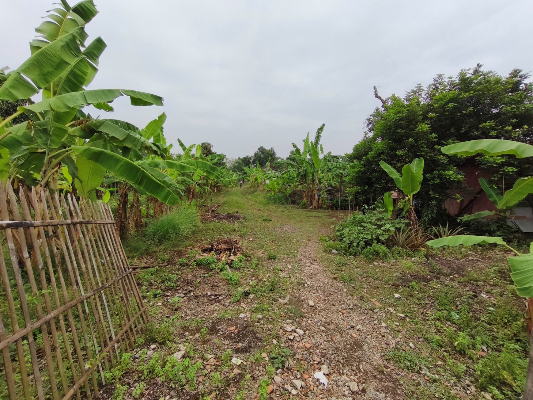 Kavling Jl Kosambi Telagasari, Majalaya, Karawang Timur