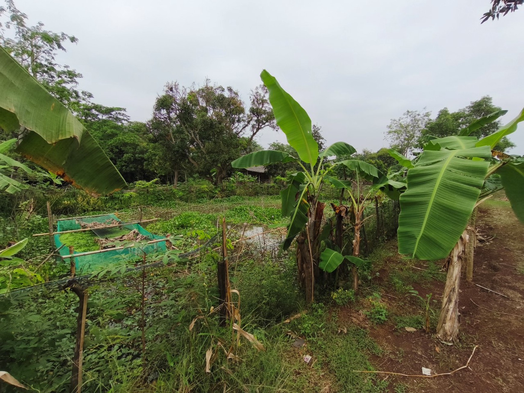 Kavling Jl Kosambi Telagasari, Majalaya, Karawang Timur