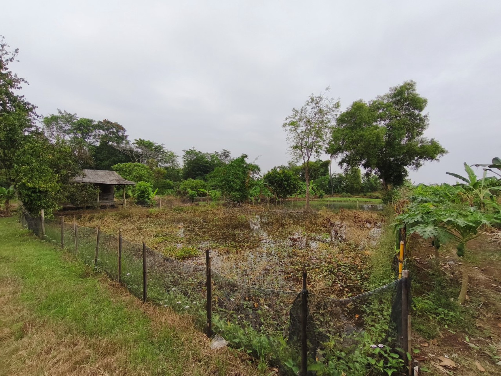 Kavling Jl Kosambi Telagasari, Majalaya, Karawang Timur