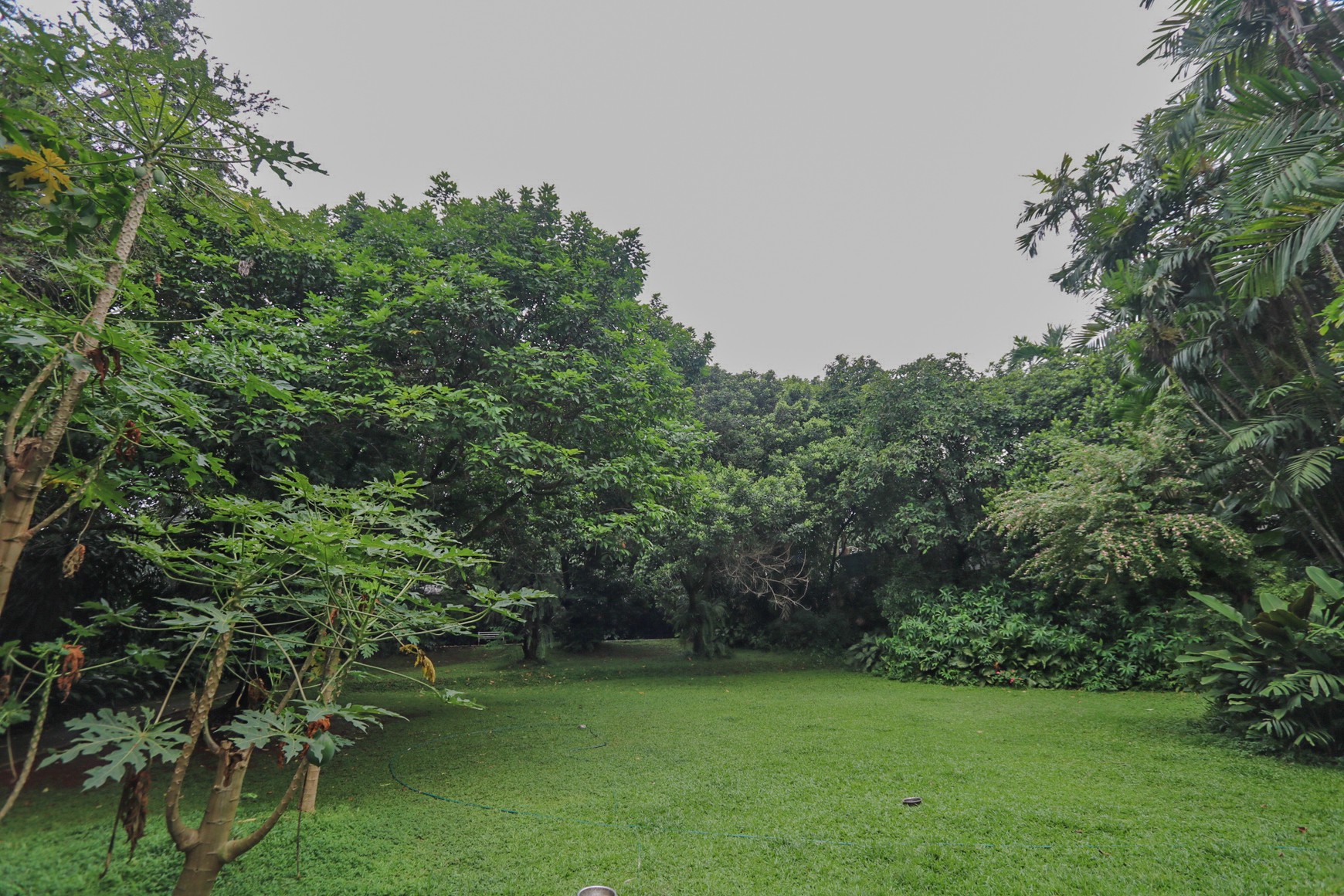 Rumah Mewah & Luas di Kawasan Andara Cilandak dekat Pondok Indah