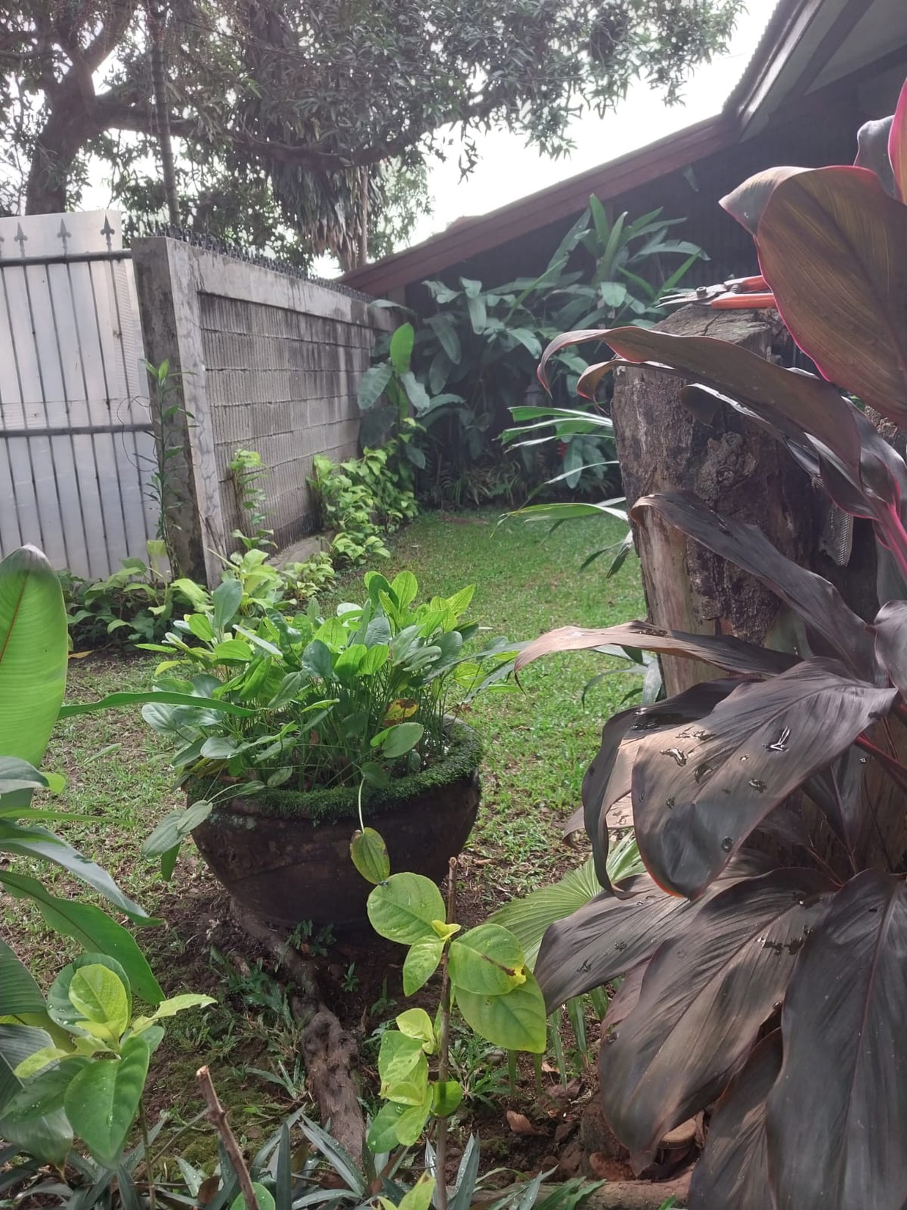 Dijual Rumah Unik Siap Huni di Cilandak Barat