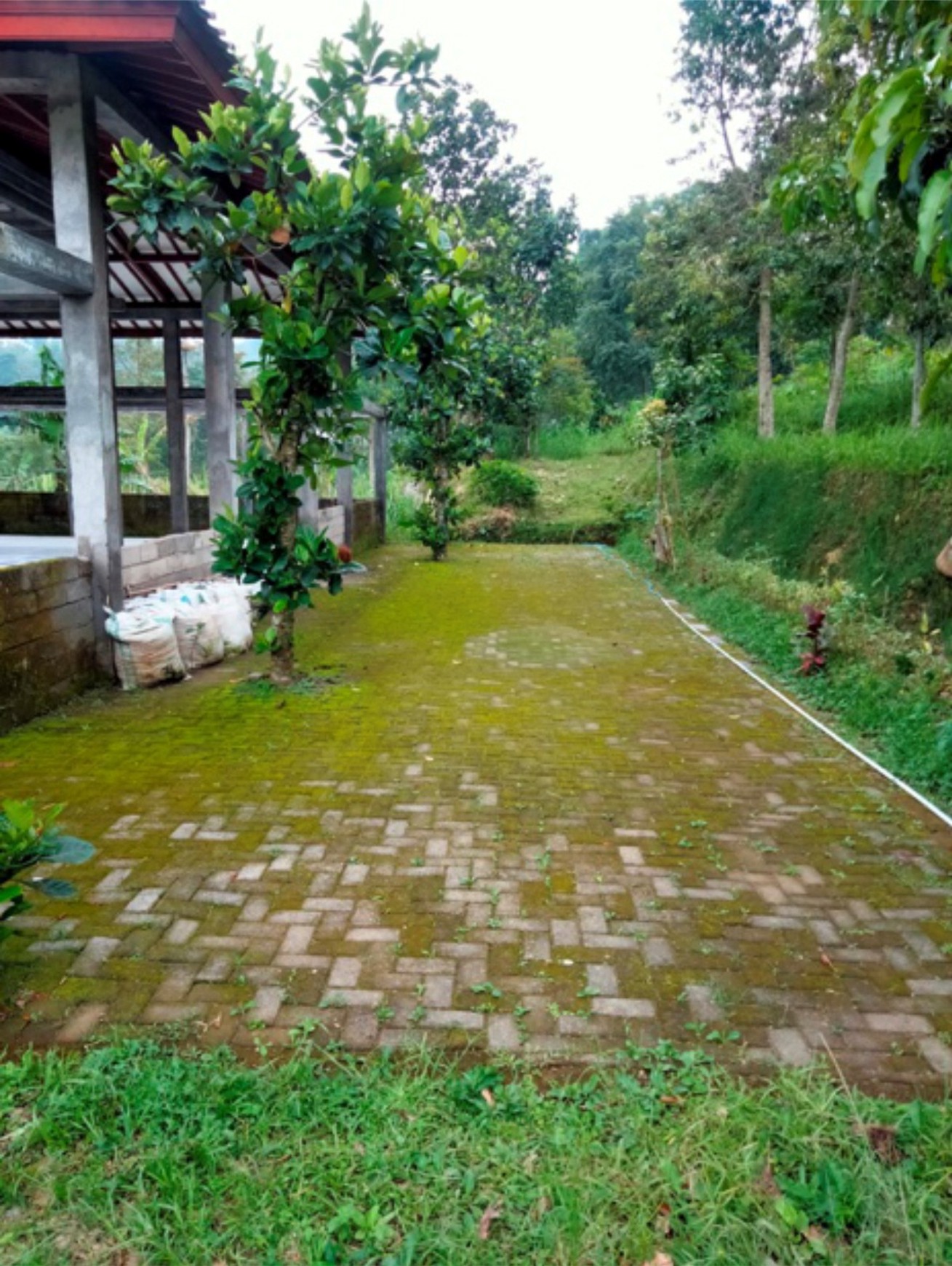 Tanah 4489 Meter Persegi Lokasi Di Area Wisata Kopeng, Getasan