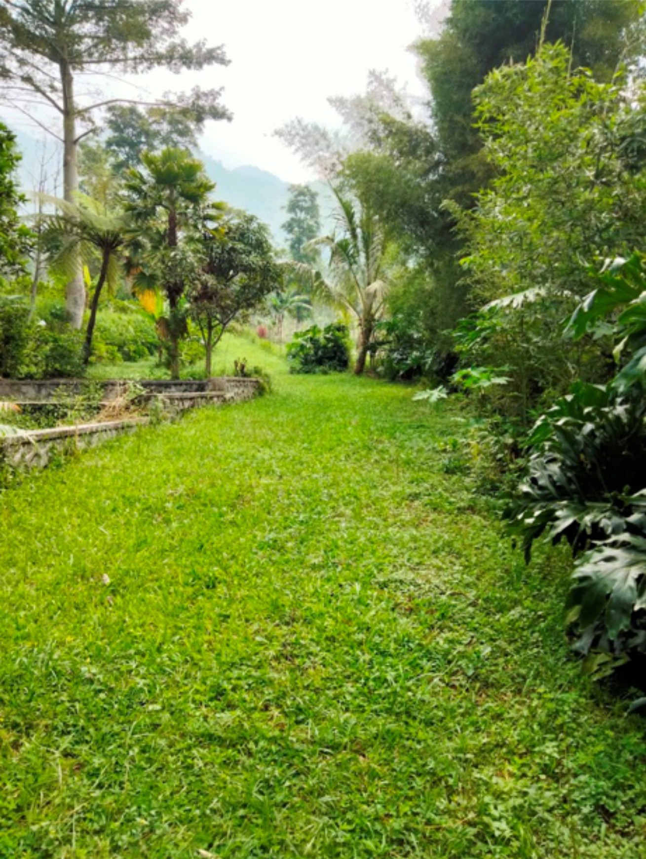 Tanah 4489 Meter Persegi Lokasi Di Area Wisata Kopeng, Getasan