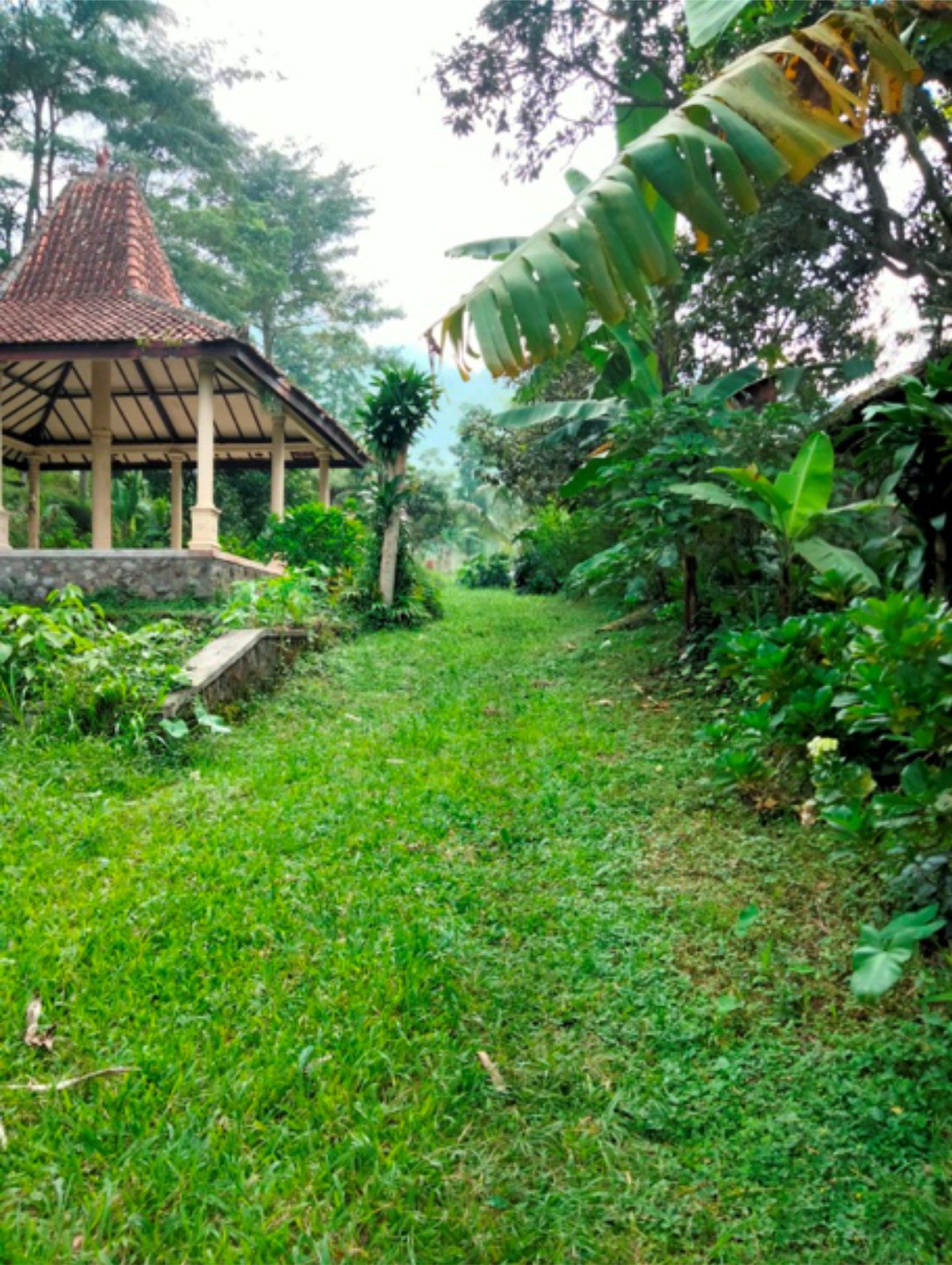 Tanah 4489 Meter Persegi Lokasi Di Area Wisata Kopeng, Getasan