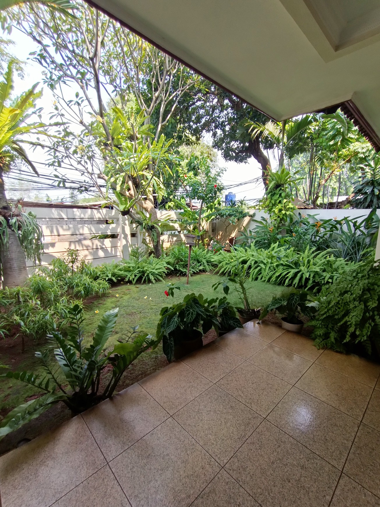 Rumah Mewah Terawat Kemang, Jakarta Selatan