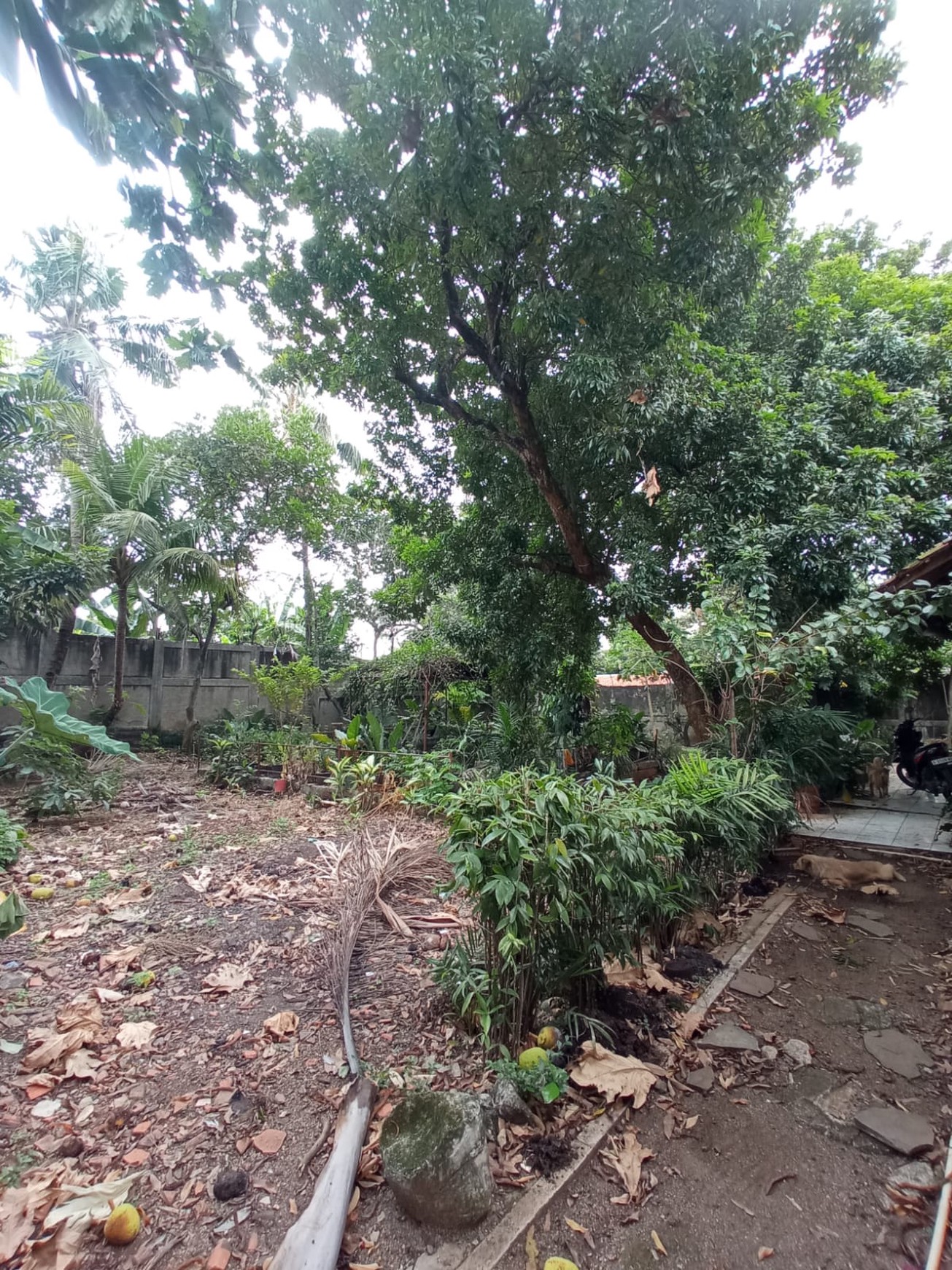 Kavling Siap Bangun Di Jl Mandor Kecil Pondok Aren Tangerang Selatan