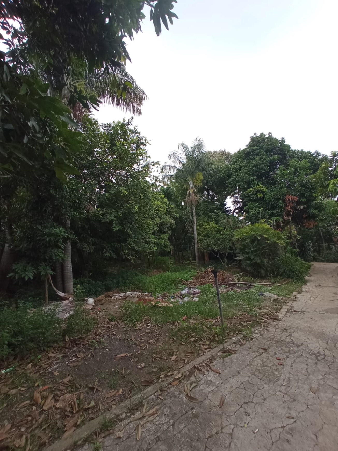 Kavling Siap Bangun Di Jl Mandor Kecil Pondok Aren Tangerang Selatan