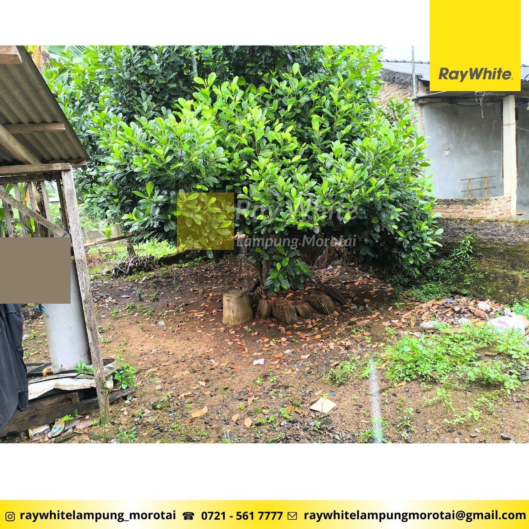 Rumah 3 Unit Bonus Tanah