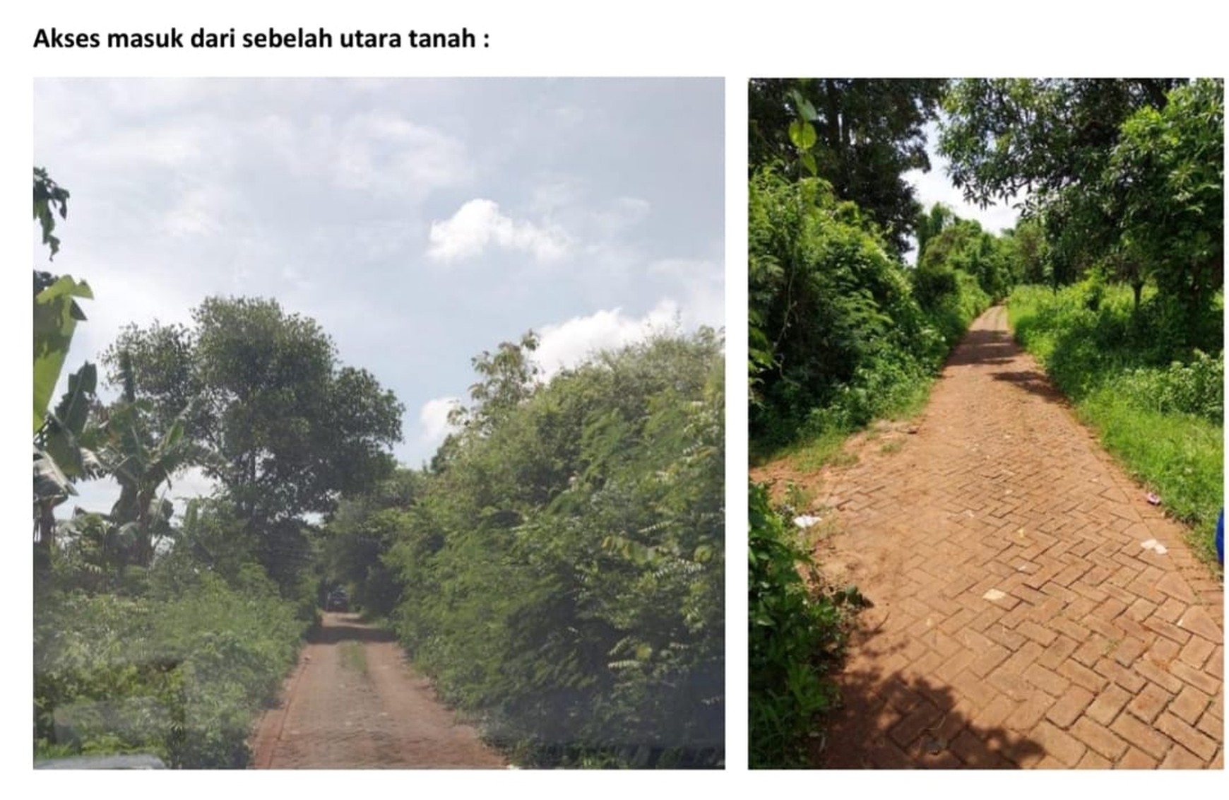 Dijual Tanah Perkebunan di Ujung Pangkah Gresik !