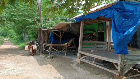 Dijual Tanah Perkebunan di Ujung Pangkah Gresik !