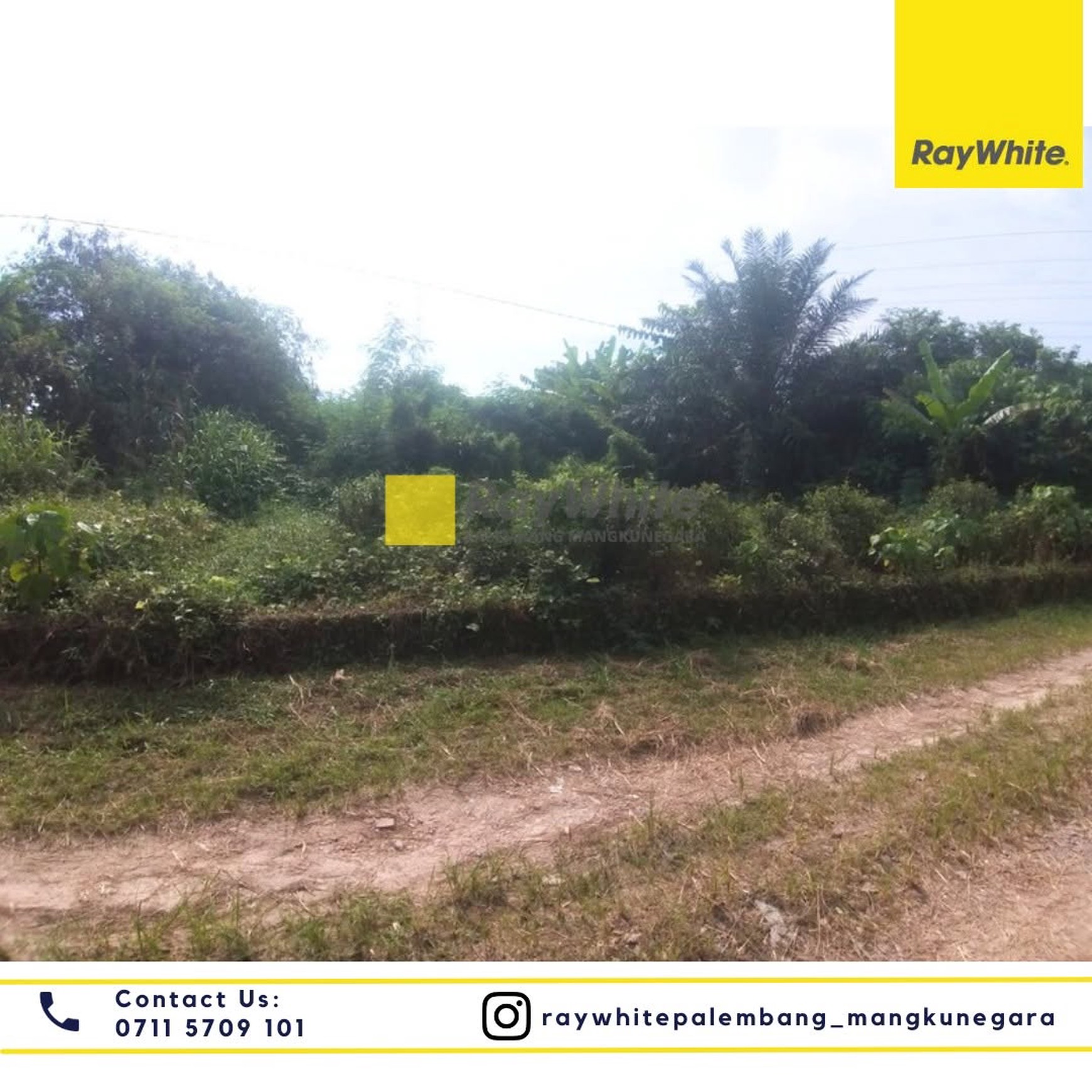 Tanah dijual cepat