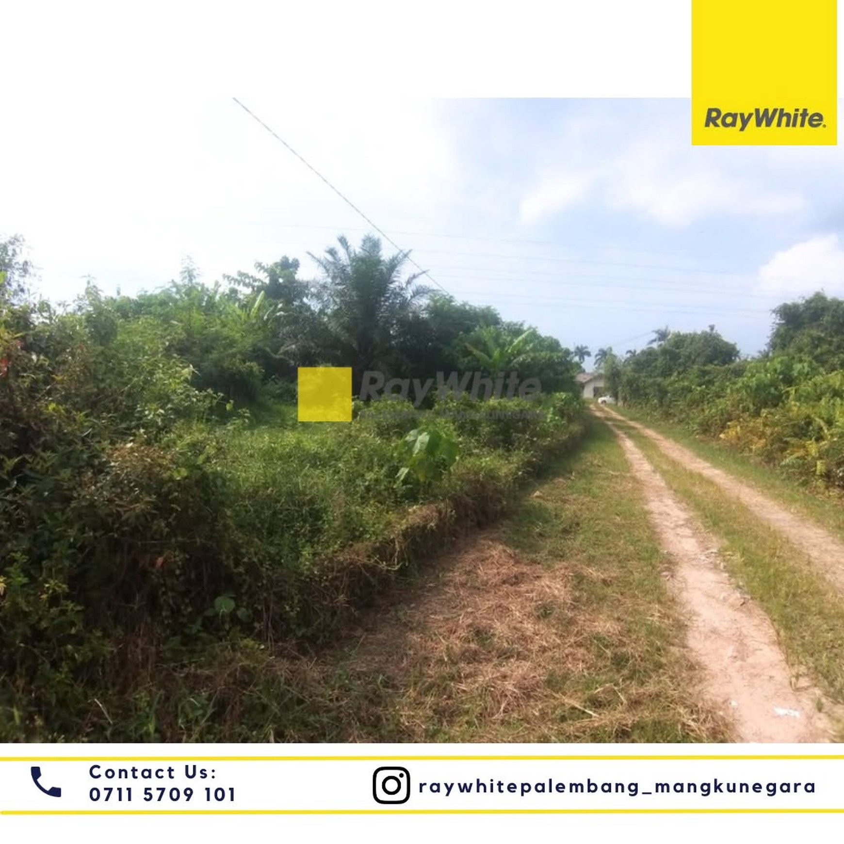 Tanah dijual cepat