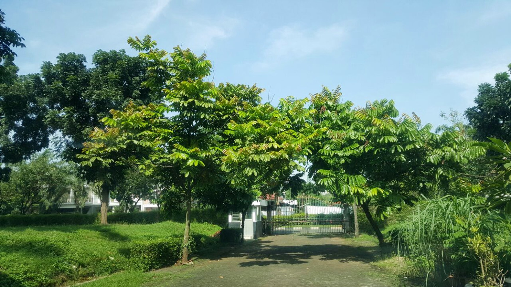 Kavling Siap Bangun Dalam Cluster dan Strategis Di Jl Pinguin Bintaro